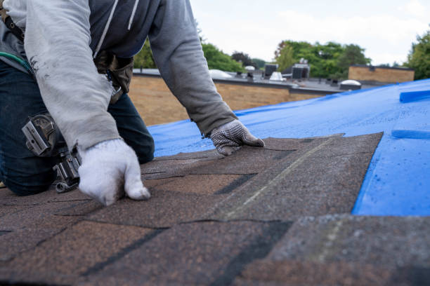 Best Commercial Roofing Services  in Hildale, UT